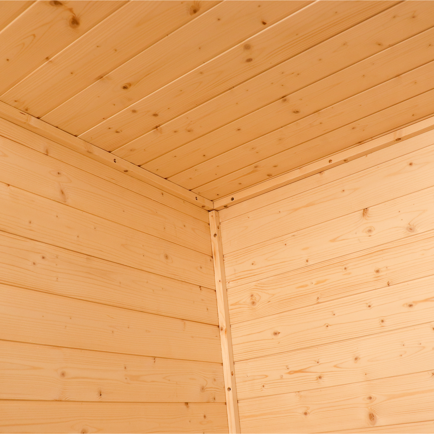 CTS-02 3 Person Traditional Indoor Sauna